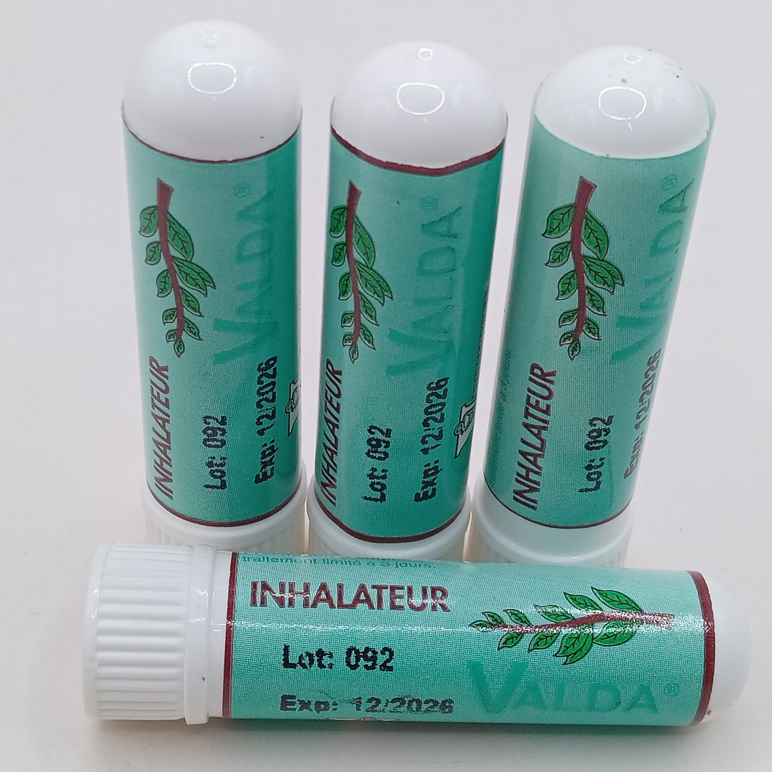 INHALATEUR VALDA B/1